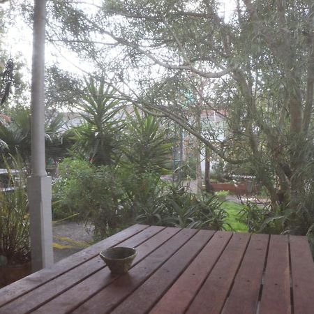 Oasis Accommodation Опотики Екстериор снимка